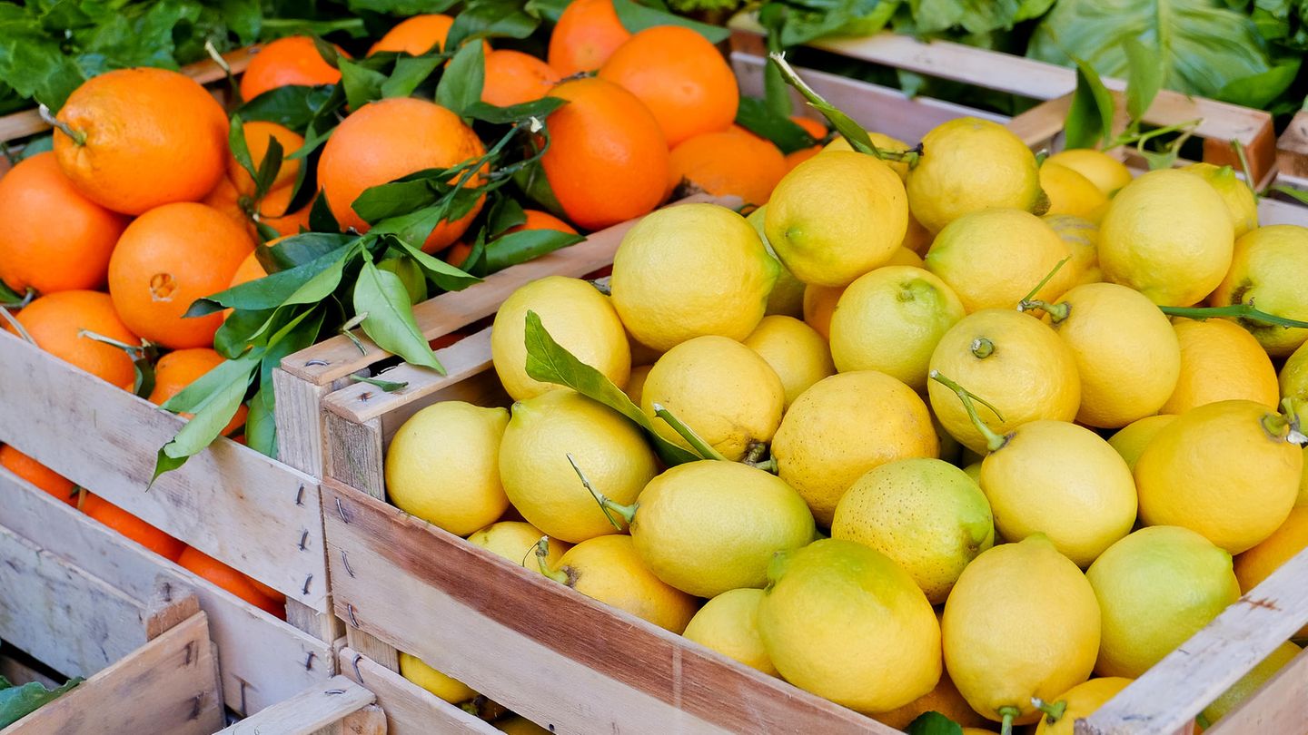 Zitronen und Orangen nicht vegan