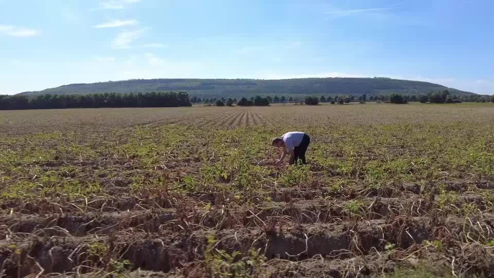 Video: Dürre bremst deutsche Bauern