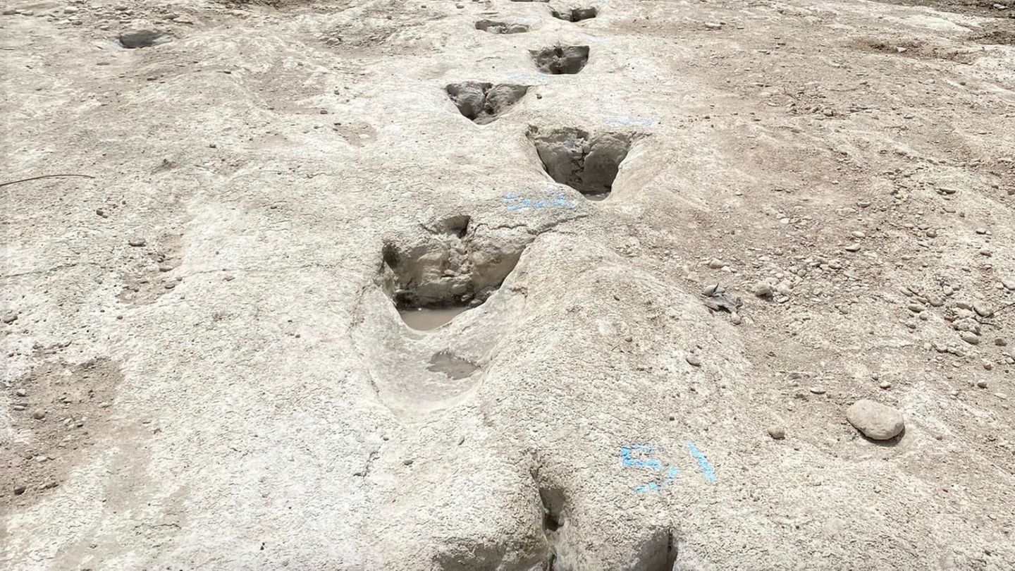 Spuren von Dinosaurier