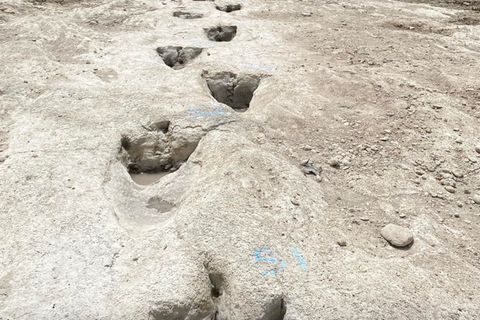 Spuren von Dinosaurier