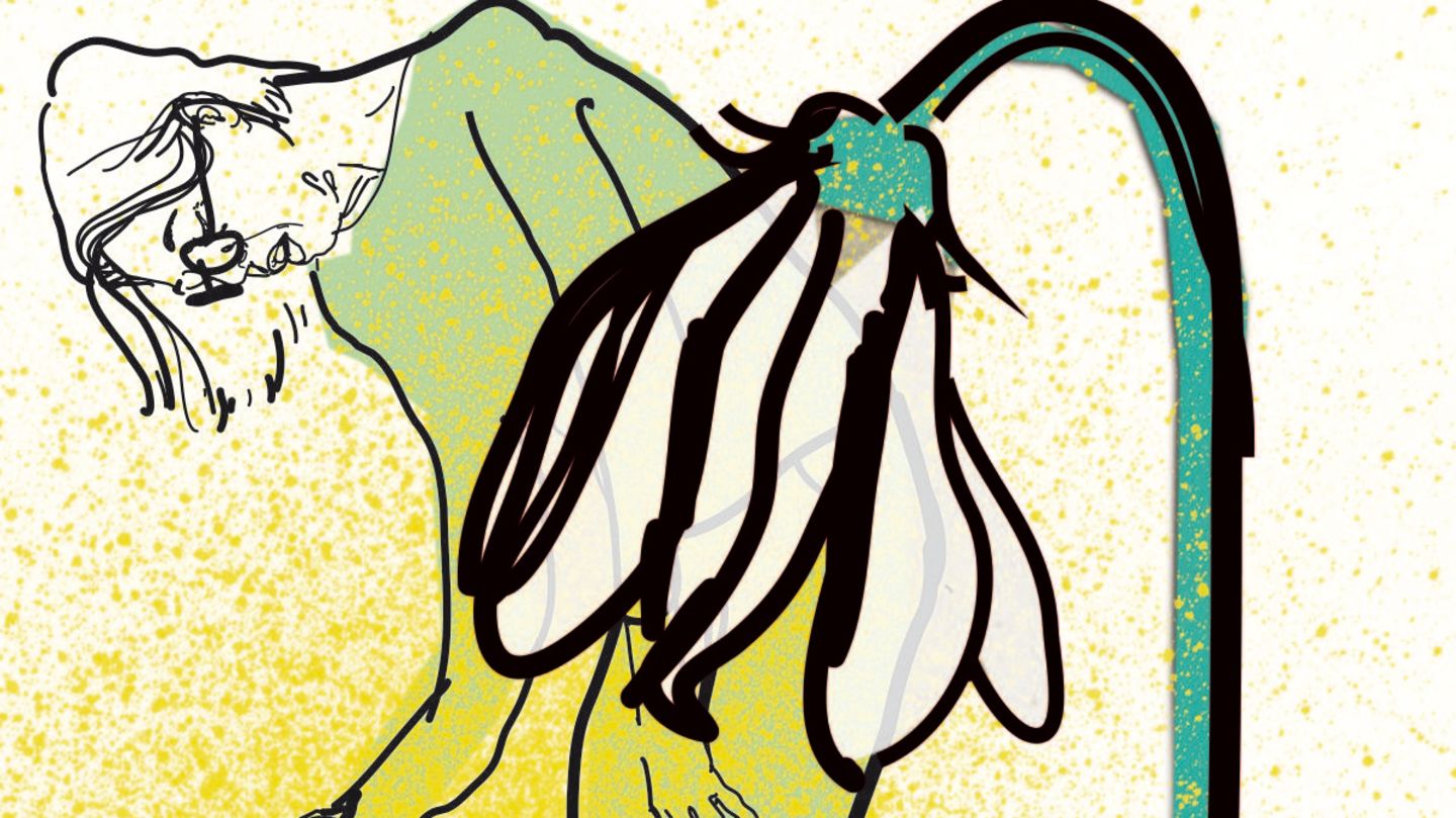 Illustration Diagnose Illustration Diagnose