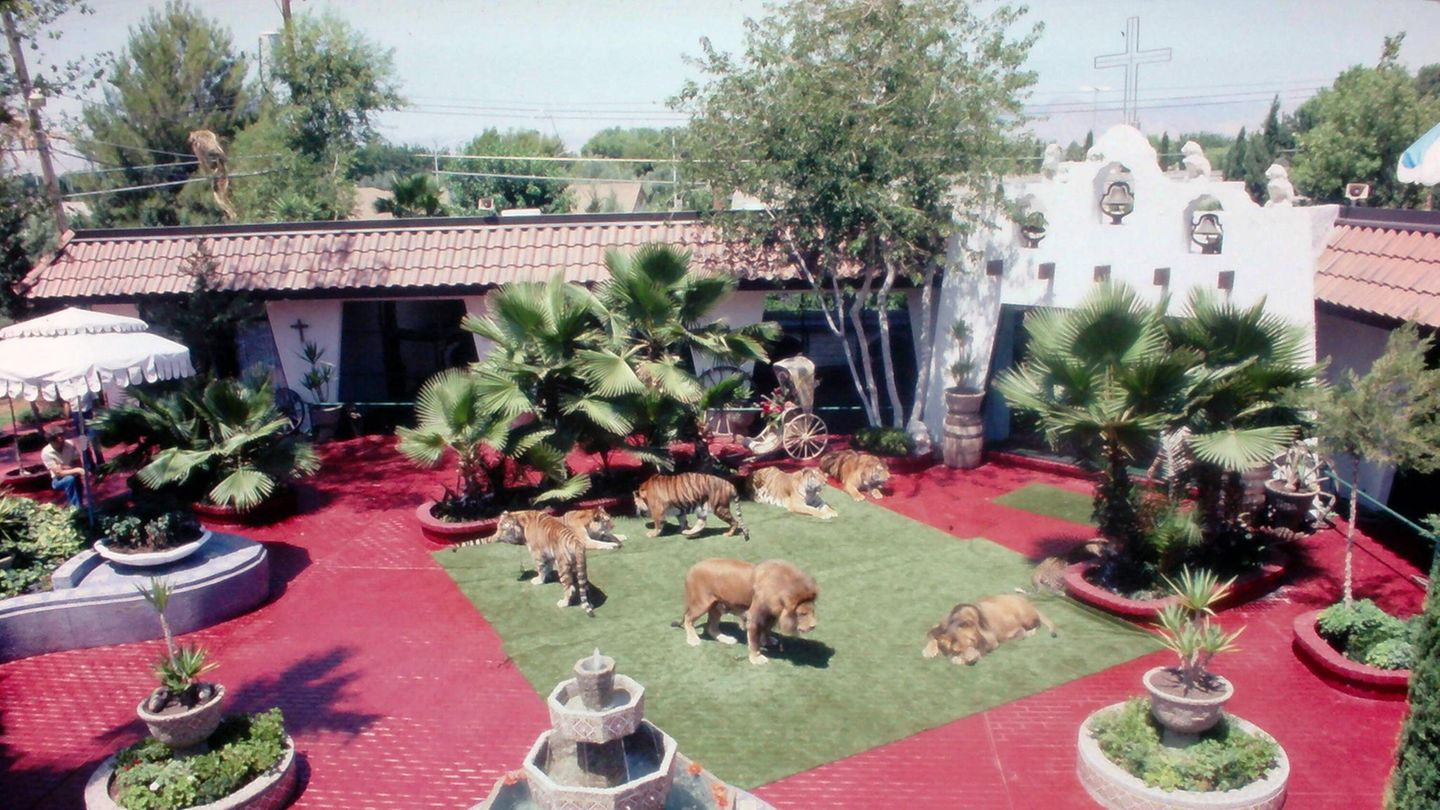 Siegfried und Roy Siegfried und Roy