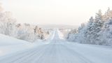 Eine schneebedeckte Straße führt durch einen verschneiten Wald.