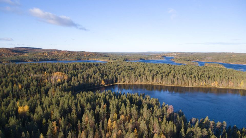 Eine Seenplatte inmitten eines riesigen Waldes in Finnland.