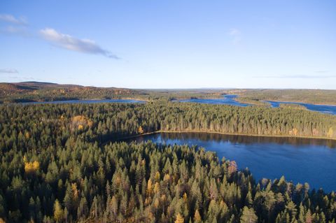 Eine Seenplatte inmitten eines riesigen Waldes in Finnland.