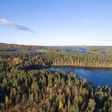 Eine Seenplatte inmitten eines riesigen Waldes in Finnland.