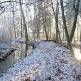"Das kleine Dorf mit seinem eigenen Ortsschild "Böhmsholz" und seinem romantischen Bachlauf hinter den Häusern liegt idyllisch in absolut ruhiger Lage", heißt es im Exposé des Immobilienmaklers Dahler & Company.