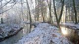 "Das kleine Dorf mit seinem eigenen Ortsschild "Böhmsholz" und seinem romantischen Bachlauf hinter den Häusern liegt idyllisch in absolut ruhiger Lage", heißt es im Exposé des Immobilienmaklers Dahler & Company.