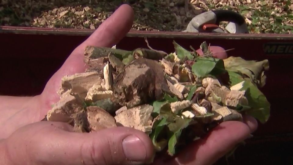 Holzschnitzel-Heizung: Wie eine Gemeinde der Energiekrise trotzt