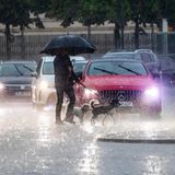 Ein Passant überquert mit Hunden nahe dem Brandenburger Tor bei starkem Regen eine Straße