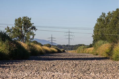 Ausgetrocknete Dreisam im Schwarzwald