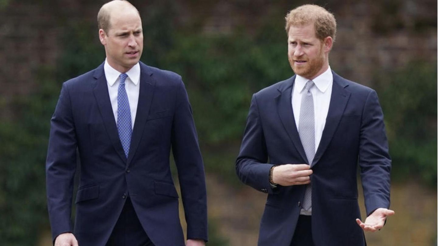 Prince William: Prince Harry hung up on the argument, then jumped in ...