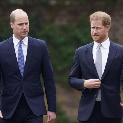 Die Prinzen Harry und William