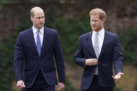 Die Prinzen Harry und William