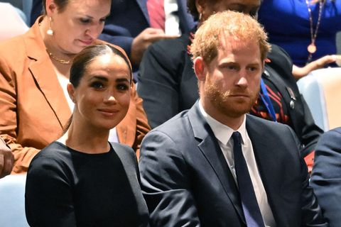 Prinz Harry Meghan Mobbing