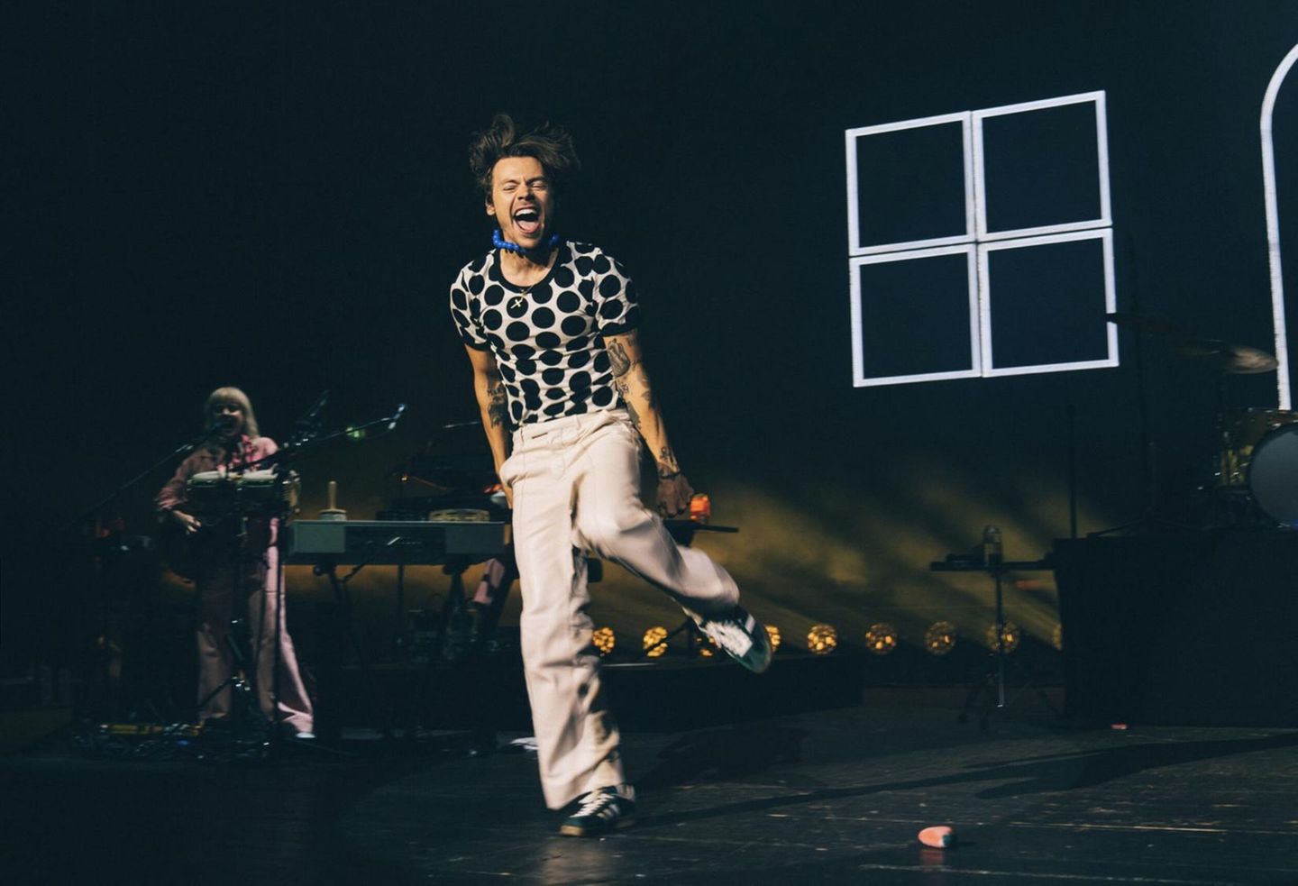 Sänger Harry Styles