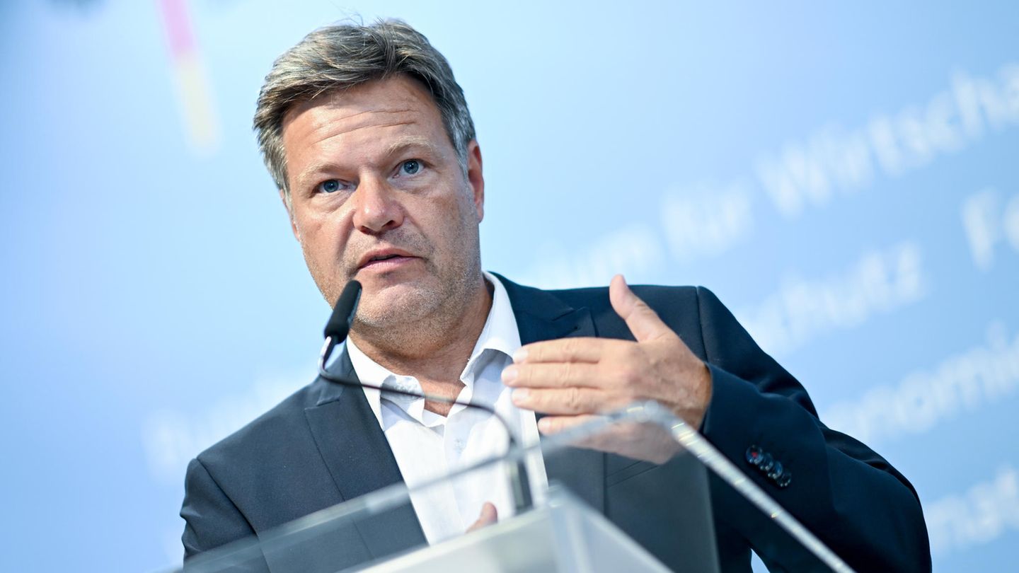 Gasumlage: Habeck will Änderung