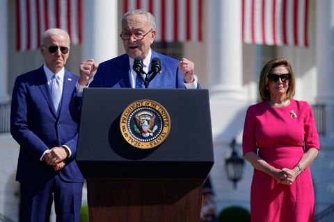 Die Demokraten wollen die Kongresswahlen gewinnen