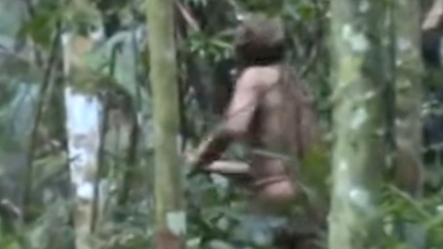Der "Tanaru-Indigene" wurde 2018 bei einer unerwarteten Begegnung beim Fällen eines Baumes gefilmt