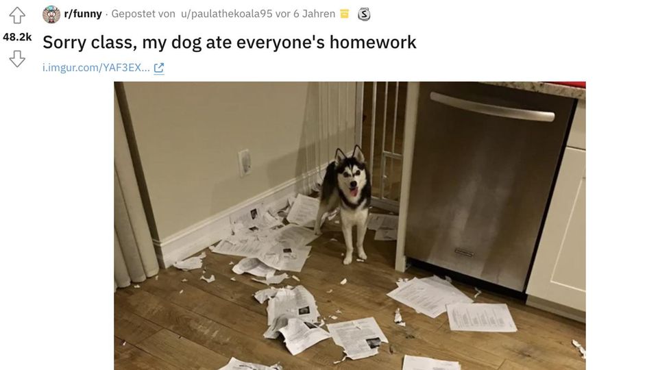 Reddit Post zu Hund frisst Hausaufgaben.