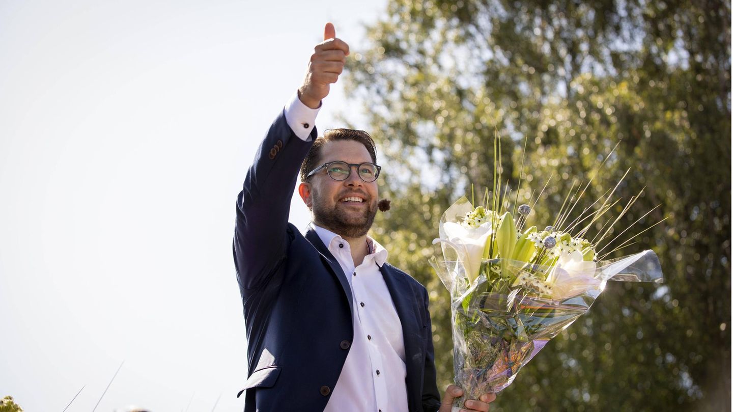Jimmie Åkesson, Chef und Spitzenkandidat der Schwedendemokraten