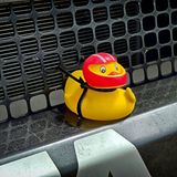 Ein Glücksbringer kann auch am Land Rover Bowler Defender nicht schaden