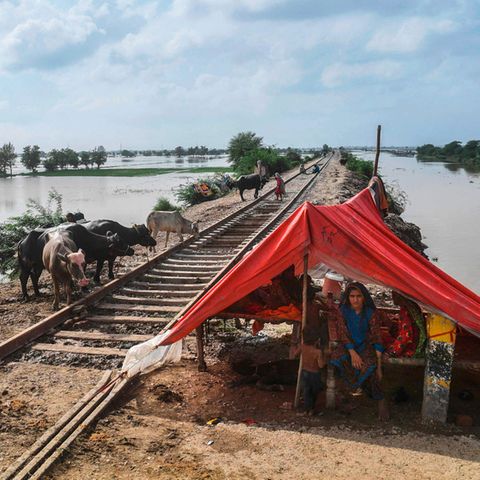 Von Flut betroffene Familie in Pakistan