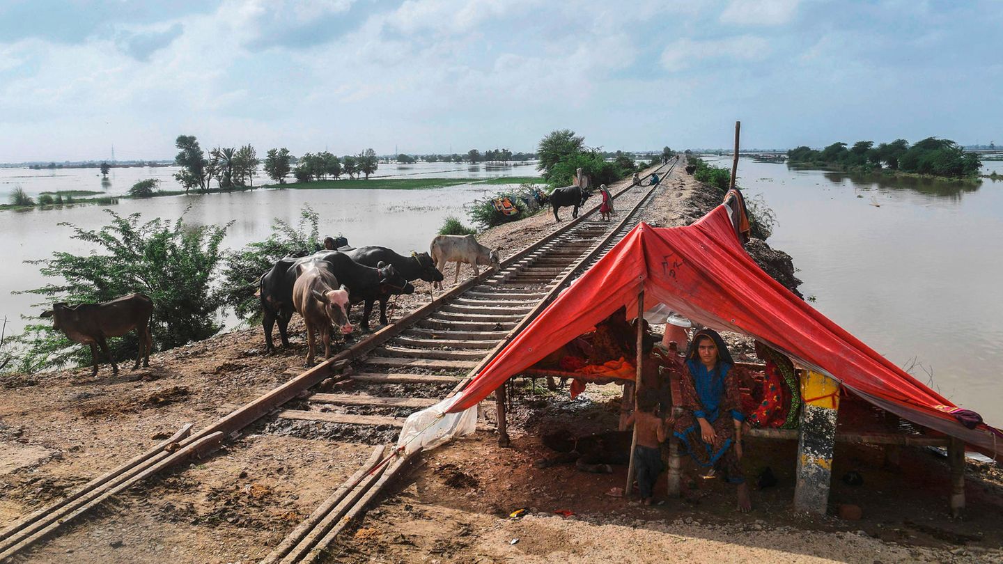 Von Flut betroffene Familie in Pakistan
