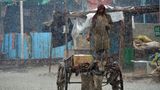 Dera Allah Yar, Jaffarabad, Pakistan. Während in Europa gerade das Wasser versickert, fällt es in Pakistan nur so vom Himmel. Hier reitet ein Mann mit seinem Esel und einem Karren durch die Regenfront. In dem heftigen Monsunregen, der früher eingesetzt hat als sonst, sind bisher mehr als 1100 Menschen gestorben.