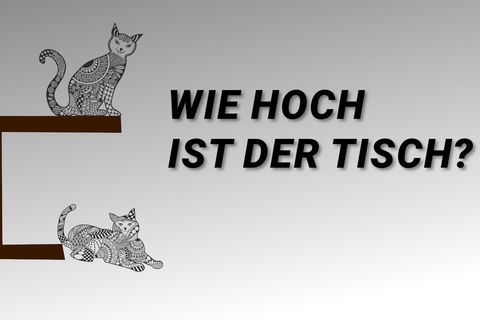 Mathe-Rätsel: Können Sie diese knifflige Katzen-Aufgabe lösen?