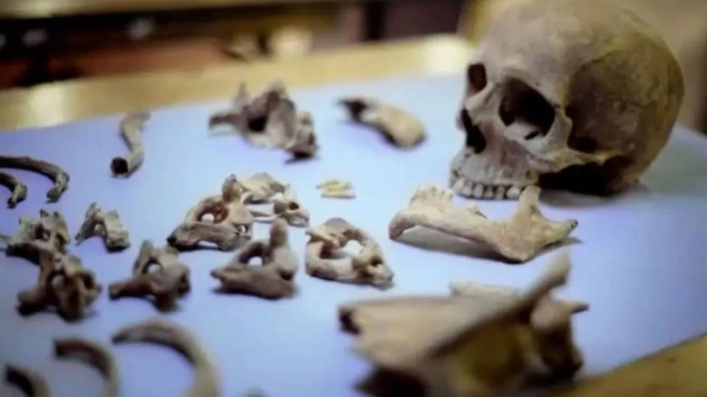 DNA test reveals dark secret of human bones found in well