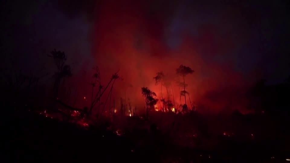 Video: Brennendes Amazonasgebiet Video: Brennendes Amazonasgebiet