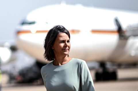 Annalena Baerbock ist zum Ziel einer Propaganda-Kampagne geworden