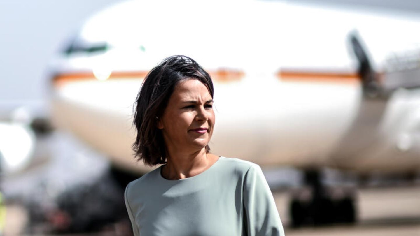 Annalena Baerbock ist zum Ziel einer Propaganda-Kampagne geworden