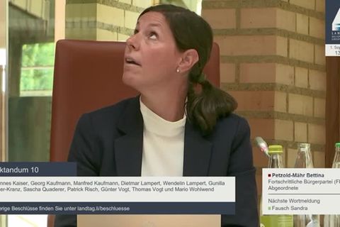 Video: Erdstoß lässt Parlament in Liechtenstein wackeln