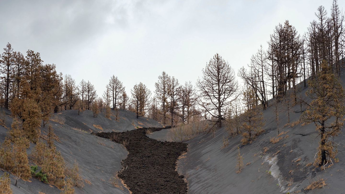 Lavafluss in den Bergen