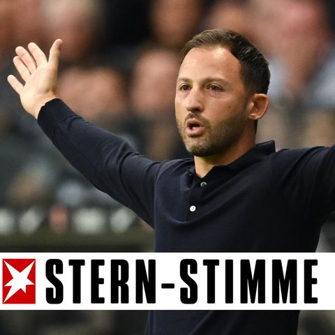 Ratlos am Spielfeldrand: Domenico Tedesco breitet die Arme im Spiel gegen Eintracht Frankfurt aus