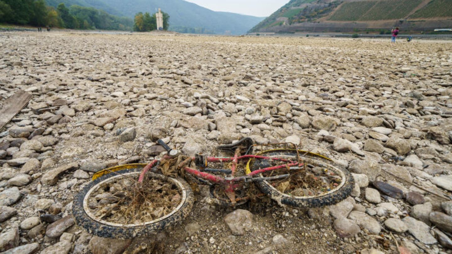 Extremwetter: Bingen in Rheinland-Pfalz – hier floss sonst der Rhein Bingen in Rheinland-Pfalz – hier floss sonst der Rhein