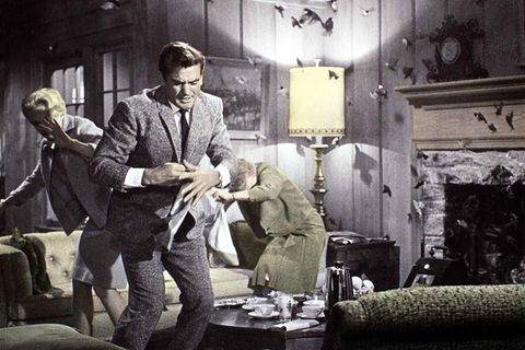 Alfred Hitchcock "Die Vögel"