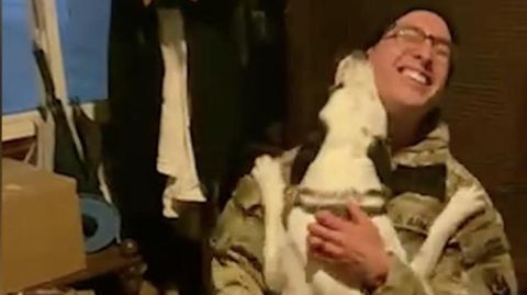US-Soldat kommt nach 10 Monaten zurück – und sein Hund rastet aus