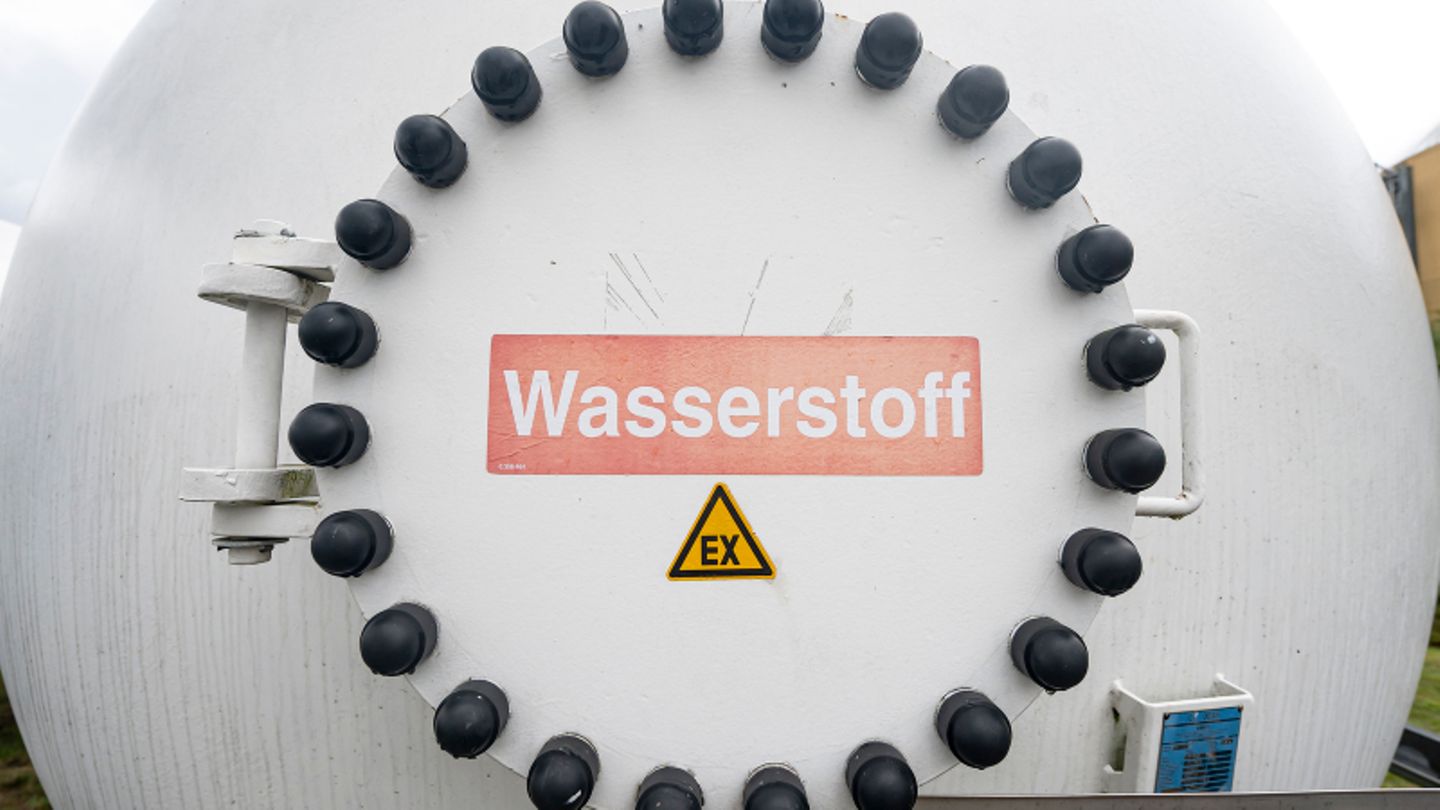 Beim "Grünen Wasserstoff" hat Afrika laut Experten das Potenzial, zu einem der wichtigsten Partner für Deutschland und Europa zu werden