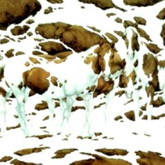 Bilderrätsel: Wie viele Pferde können Sie hier entdecken?