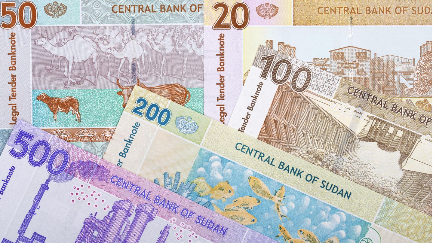 Sudanesische Pfund-Noten