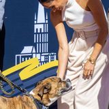 Meghan streichelt einen Hund