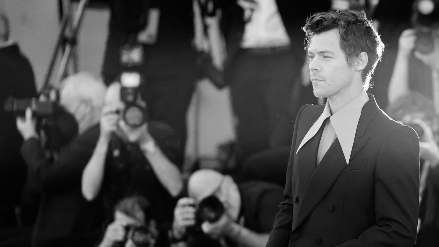 Harry Styles and the women: between affairs and great love