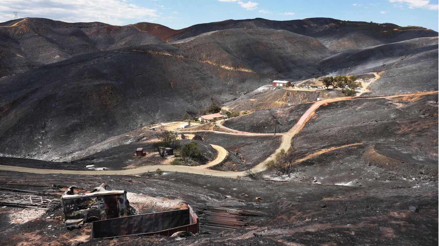 Verbrannte Erde: Hier zog vor wenigen Tagen dass Route-Fire durch und färbte die Hügel in der Gemeinde Castaic schwarz