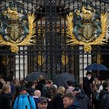 Zahlreiche Menschen in London versammeln sich vor den Toren des Buckingham Palastes. 