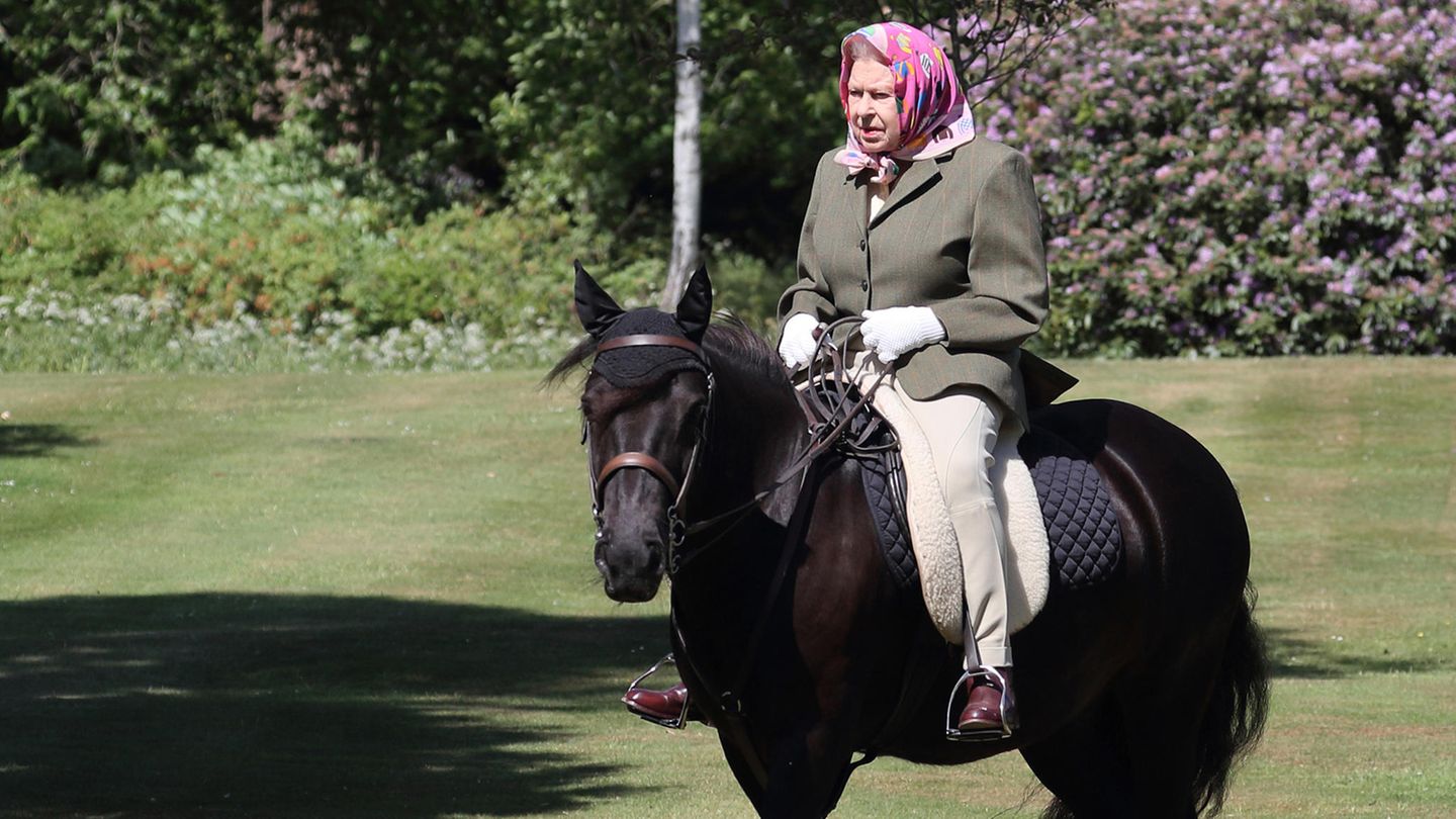 Erstes Pony mit vier