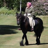 Erstes Pony mit vier