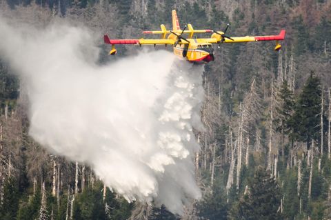 Ein italienisches Löschflugzeug hilft bei einem Waldbrand am Brocken aus